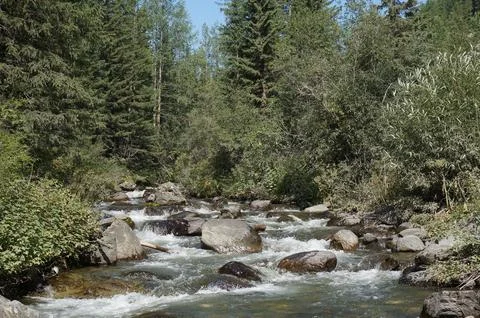 On a warm summer day, a stream flows from the mountains, skirting stone boulders Stock Photos