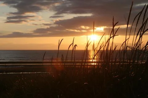 Warm summer night  Stock Photos