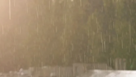 Warm summer rain falling during golden hour in slow motion with lens flare Stock Footage 324659309