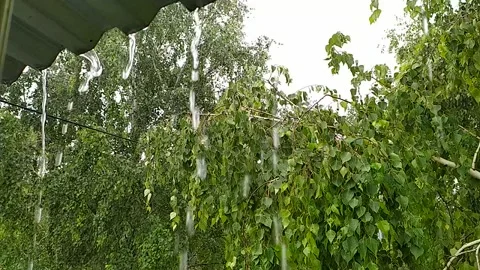 Warm summer rain Stock Footage 135586560