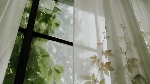 Warm summer rain with sunshine through green house windows. Water drops on Video stock 266426468