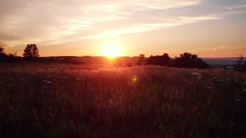 Warm summer sunset and waving orange grass in sunlight, copy space for design or Stock Footage 150357736