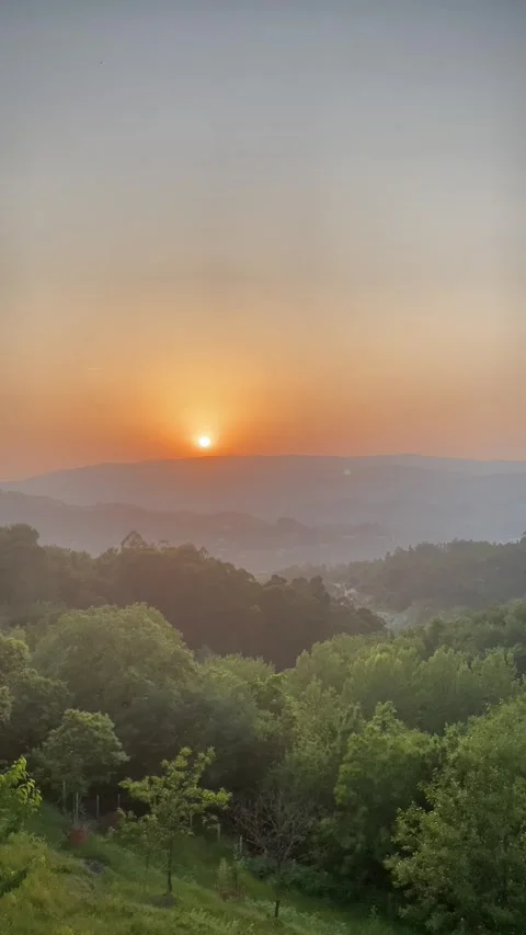 Warm summer sunset behind hills with green foliage and scenic view 🌞🌿 Stock Footage 310964783