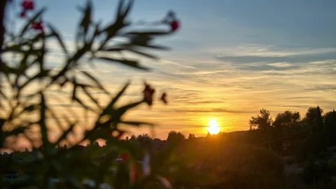 Warm Summer Sunset Stock Footage 98503261