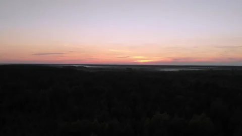 Warm summer sunset in a mixed forest outside the city Stock Footage 169482801