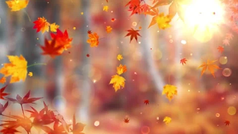 Warm Sun Flares on Vibrant Orange Leaf Scene Stock Footage 346189968