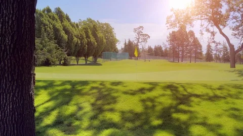Warm Sun Golf Course Green Field Grass Meadow Landscape, Sport and Sky Backround Stock Footage 100006171
