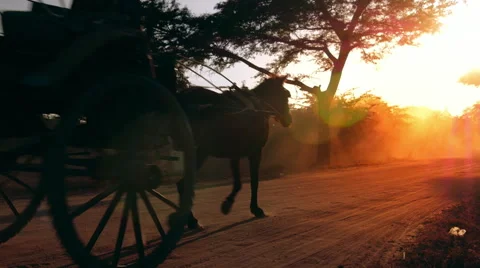 Warm sun rays and bright sun in rural Myanmar (Burma). Two horse wagons in Bagan Vidéo 51023971