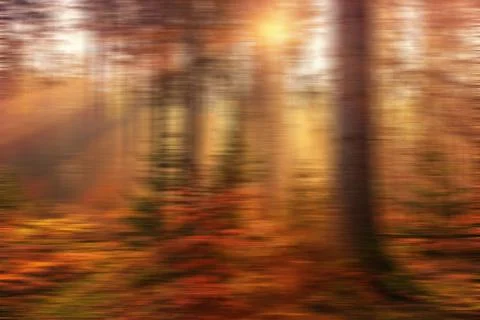 Warm sun rays pierce through blurry autumn trees in an abstract forest landsc Stock Photos