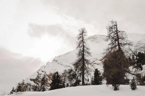 Warm sun rays in winter Stock Photos