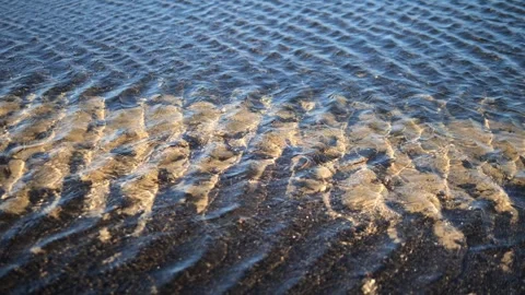 Warm sunlight casts golden reflections on the ripples of the water's surface Stock Footage 306925035