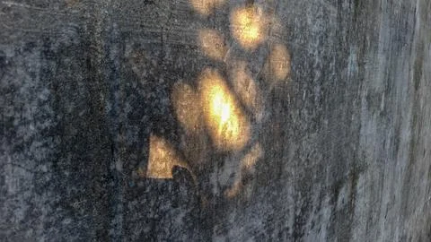 Warm Sunlight Dappled Shadows on Weathered Wall Stock Photos
