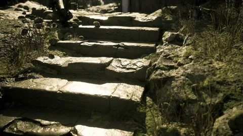 Warm sunlight highlights stone edges along lengthy perspective lines Stock Footage 340665695