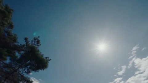 The warm sunlight shining on the branches Stock Footage 276518587