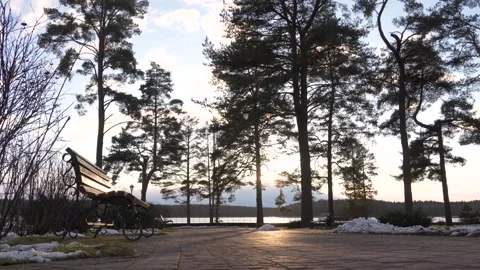Warm sunlight shining at sunset through trees in winter park Stock Footage 300262331