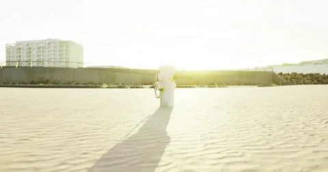 Warm sunlight washes over a figure walking on a sandy beach during sunset Stock Illustration