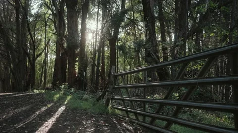 Warm sunlit corner with worn down fence gate at golden hour Stock Footage 142300139