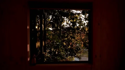 Warm Sunlit Window Видео 146046472