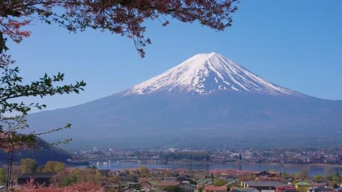 Warm Sunny Day over Mt Fuji, Spring in Japan Establishing Shot with Sakura 스톡 동영상 339772084