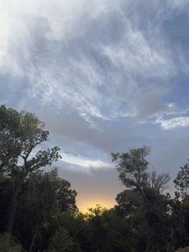 Warm Sunset Clouds Above Trees Stock Photos
