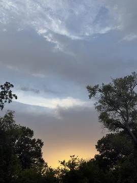 Warm Sunset Clouds Above Trees Macro Detail Stock Photos