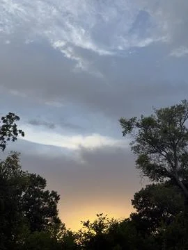 Warm Sunset Clouds Above Trees Detailed View Stock Photos