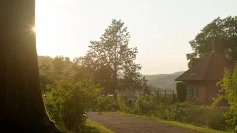 A warm sunset illuminates a path leading to a quaint wooden house surrounded by Stock Footage 345849037