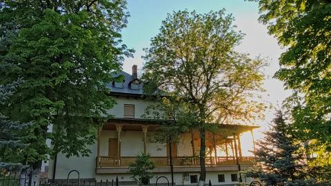 Warm sunset light filtering through trees and a wrought iron fence 스톡 사진