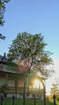 Warm sunset light filtering through trees and a wrought iron fence Stock Photos