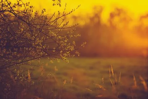 Warm sunset light landscape Foto stock