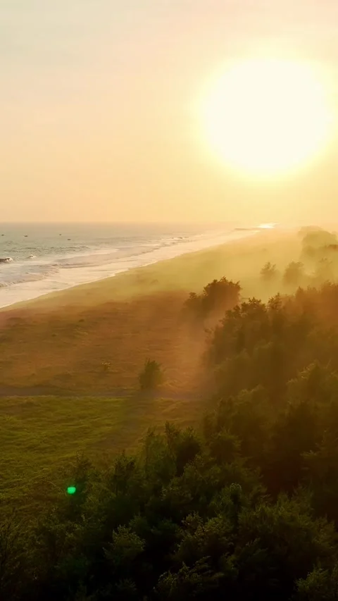 Warm sunset light over coastal trees and beach Vídeo Stock 335432583