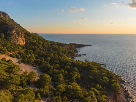 Warm sunset light over pine forest and calm Mediterranean coastline Stock Photos