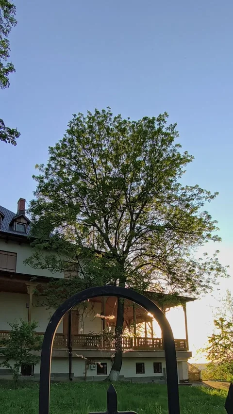 Warm sunset light passing by a building, trees, and a wrought iron fence Stock Footage 334789781