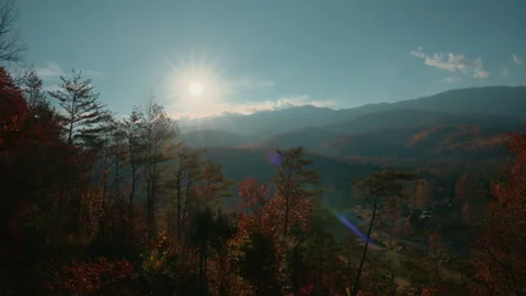 Warm sunset light shines over tall trees overlooking colorful autumn mountain Stock-Footage 327891590