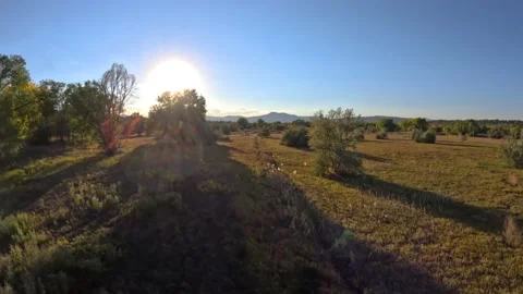Warm Sunset over Beautiful Meadow Stock-Footage 219295735