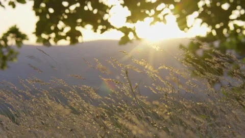 Warm sunset over forest landscape Stock Footage 336465921