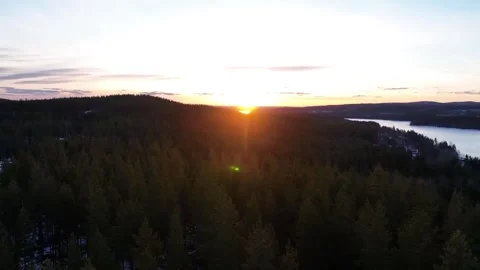 Warm sunset over a tranquil forest. Stock Footage 310030122