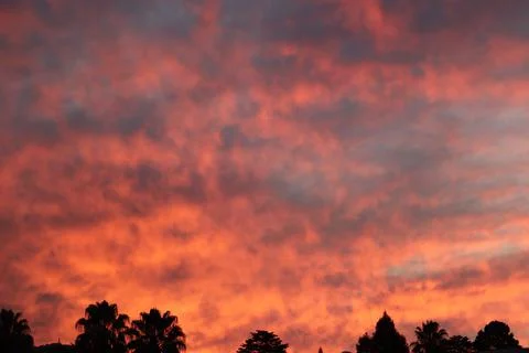 A warm sunset Foto stock