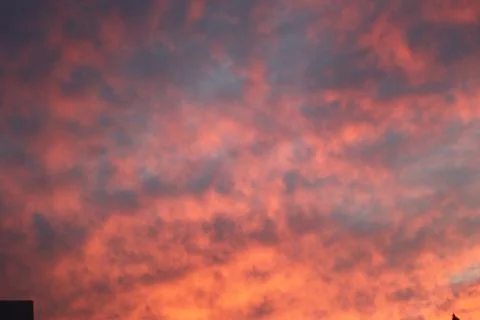 A warm sunset Foto stock