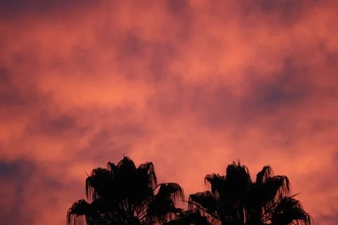 A warm sunset Foto stock