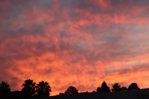 A warm sunset Foto stock