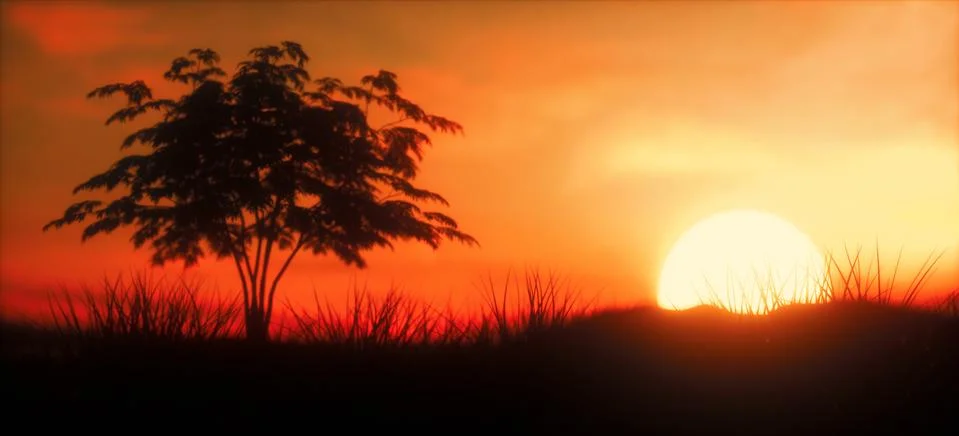 Warm Sunset with tree panoramic Stock Photos