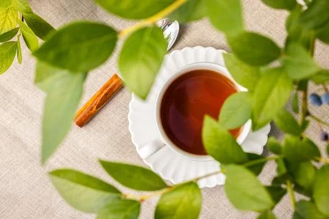 Warm tea cup on linen table with green leaves Stock Photos