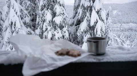 Warm tea at the  winter forest "bar" with the view Stock Photos