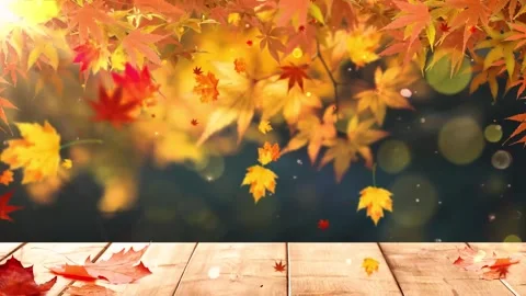 Warm Tone Autumn Video Loop with Floating Particles and Wood Texture Stock Footage 346189978