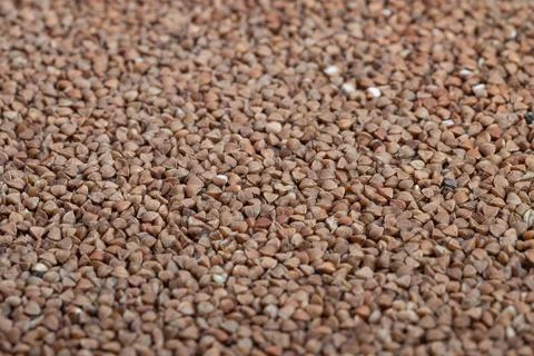 Warm toned flat buckwheat pattern design, Detailed image of buckwheat groats wit Stock Photos