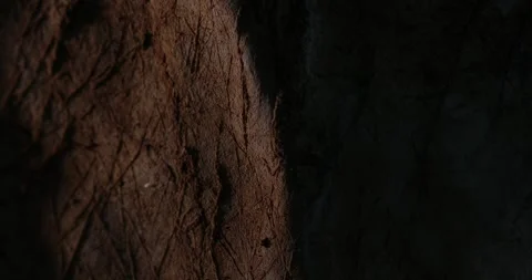 Warm Tones on Textured Stone Surface. Stock Footage 270522411