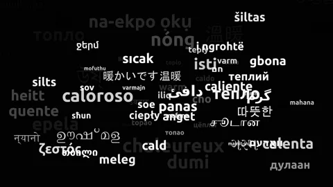 Warm Translated in 78 Worldwide Languages Endless Looping 3d Zooming Wordclou Stock Footage 145203740