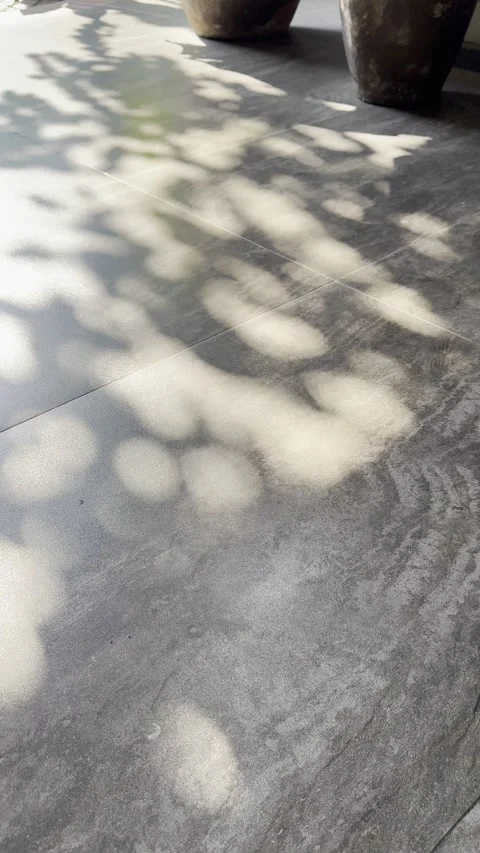 Warm Tree Shadows and Ceramic Decor in Minimal Brutalist Space Stock Footage 346739723