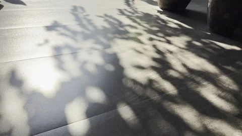 Warm Tree Shadows and Ceramic Decor in Minimal Brutalist Space Stock Footage 346739757